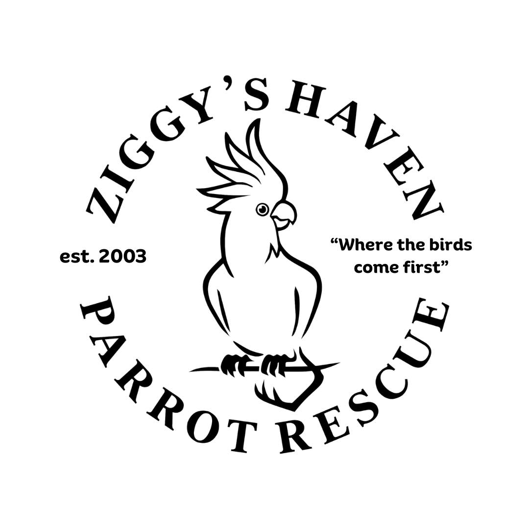 Ziggys Haven Parrot Sanctuary